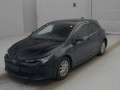 2019 Toyota Corolla Sports