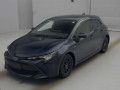 2020 Toyota Corolla Sports