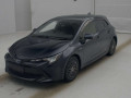 2019 Toyota Corolla Sports