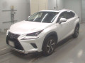 2021 Lexus NX