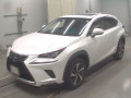 2019 Lexus NX