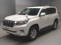 2020 Toyota Land Cruiser Prado