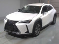 2022 Lexus UX