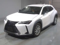 2019 Lexus UX
