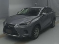 2019 Lexus NX