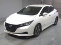 2021 Nissan Leaf