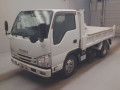 2019 Isuzu Elf Truck