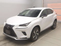 2021 Lexus NX