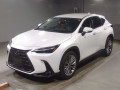 2023 Lexus NX