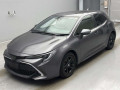 2021 Toyota Corolla Sports