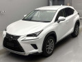 2019 Lexus NX