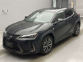 2021 Lexus UX