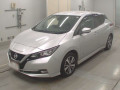 2019 Nissan Leaf