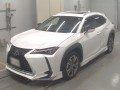 2021 Lexus UX