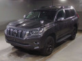 2019 Toyota Land Cruiser Prado