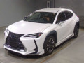2021 Lexus UX