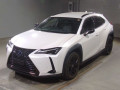 2021 Lexus UX