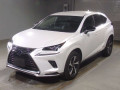 2021 Lexus NX