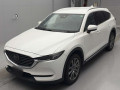 2019 Mazda CX-8