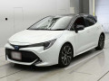2021 Toyota Corolla Sports