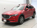 2019 Mazda CX-8