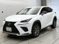 2019 Lexus NX