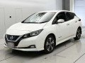 2019 Nissan Leaf
