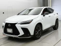 2024 Lexus NX