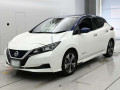 2019 Nissan Leaf