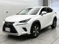 2019 Lexus NX