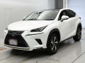 2019 Lexus NX