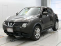 2010 Nissan JUKE