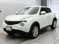 2010 Nissan JUKE