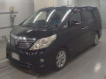 2009 Toyota Alphard