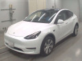2023 Others MODEL Y