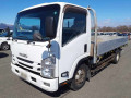 2017 Isuzu Elf Truck
