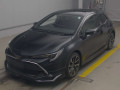 2022 Toyota Corolla Sports