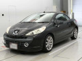 2007 Peugeot 207