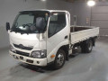 2019 Toyota Dyna Truck