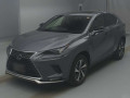 2021 Lexus NX