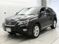 2009 Lexus RX