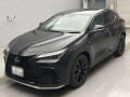 2022 Lexus NX