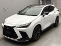 2022 Lexus NX