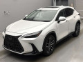 2023 Lexus NX