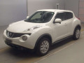 2013 Nissan JUKE