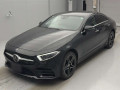 2019 Mercedes Benz Cls-Class