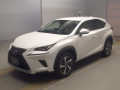 2019 Lexus NX