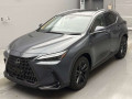 2022 Lexus NX