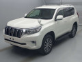 2019 Toyota Land Cruiser Prado