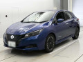 2022 Nissan Leaf